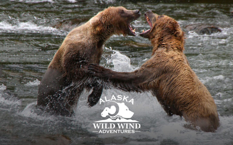 Alaska wild wind adventures
