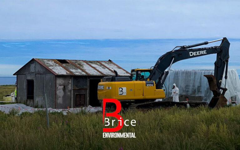 Brice environmental & engineering services