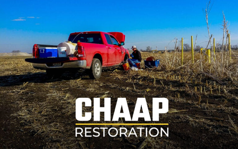 Chaap thumb