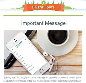 Our april edition of bright spots is available!