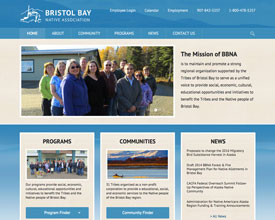 Bristol bay native association
