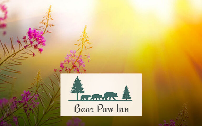 The bear paw inn