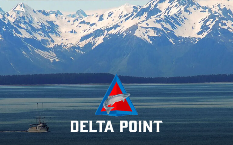 Delta point llc