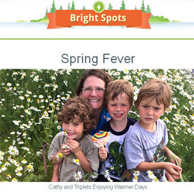 Our february edition of bright spots is available!