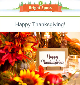 Our november edition of bright spots is available!