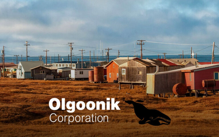 Olgoonik