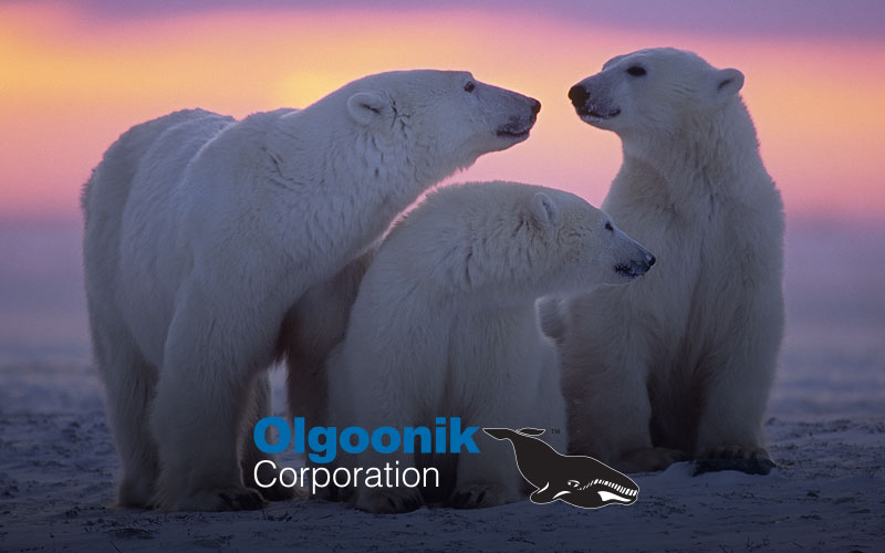 Olgoonik corporation logo image